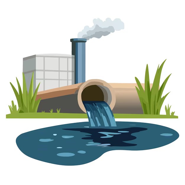 Sewage Damage